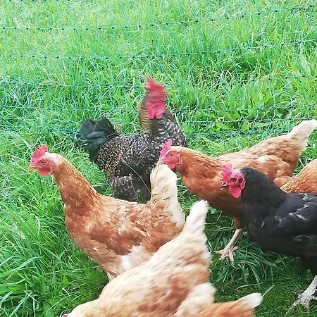 Andi Lejlighed Wagrain