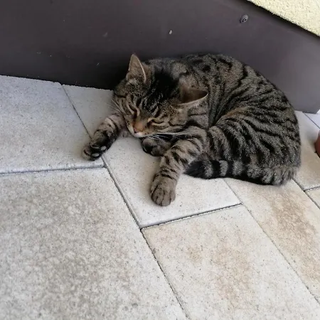 Andi *